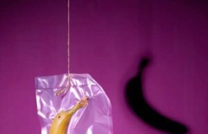 NUOVE TERRE X EDIZIONE