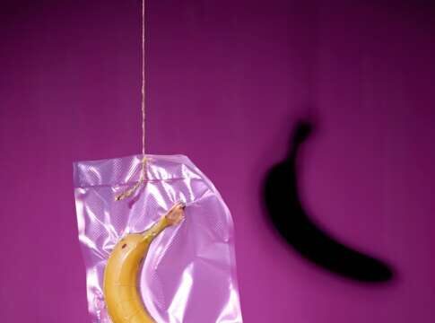 NUOVE TERRE X EDIZIONE