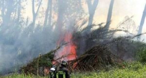 Caldo record Liguria, i Vigili del Fuoco stanno intervenendo