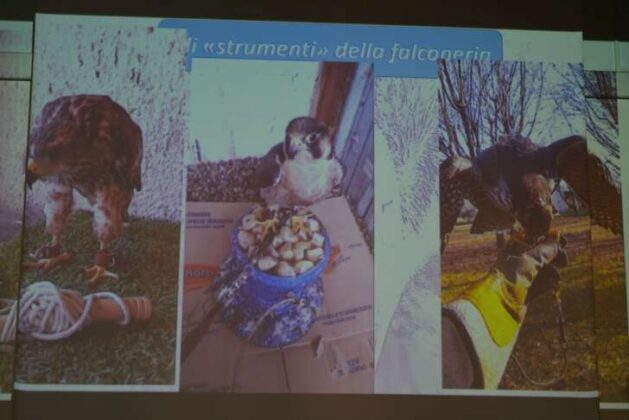 A Genova si è svolto un incontro sull’arte della falconeria