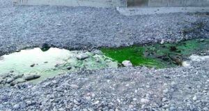 Il Rio Priaruggia si colora di verde smeraldo: è mistero
