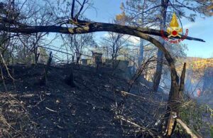 Incendi nell’Albenganese, tutti i roghi sono sotto controllo Incendi nell’albenganese, tutti i roghi sono sotto controllo