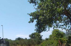 Andora, 400 mila euro per la messa in sicurezza delle strade Andora, 400 mila euro per la messa in sicurezza delle strade