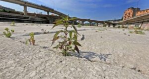 Coldiretti Liguria il 2022 si conferma l'anno più bollente di sempre
