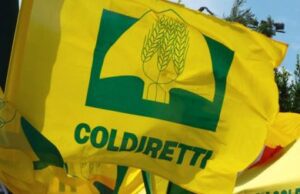 Coldiretti Liguria: scatta il fermo pesca, fare attenzione al banco Coldiretti Liguria scatta il fermo pesca fare attenzione al banco