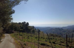 Torna TrekYoga a Diano Arentino Diano Arentino