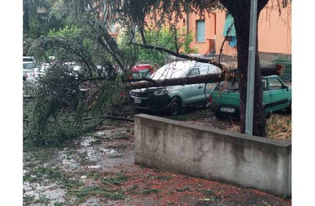 Violenta grandinata a Casarza Ligure