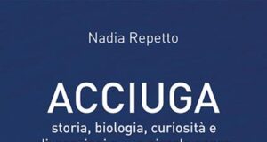 Acciuga-Libro di Nadia Repetto