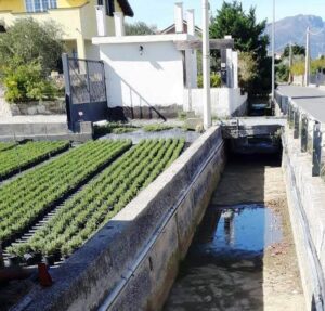 Corsi d'acqua-Ceriale