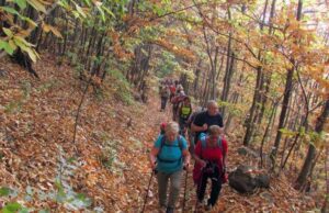 Loano non solo mare, il 15 settembre escursione a Viozene Loano non solo mare, il 15 settembre escursione a Viozene