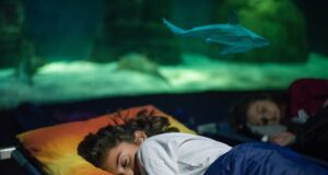 Acquario di Genova