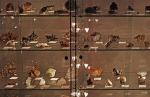 Visita guidata al Museo Mineralogico Dabroi Palazzo Tagliaferro-Museo mineralogico-Andora