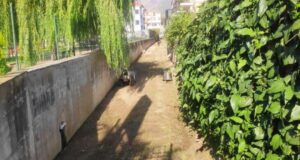Pulizia canali a Ceriale