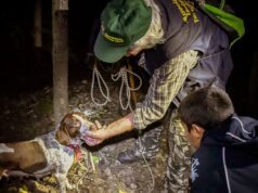 Millesimo, Festa Nazionale Tartufo della val Bormida Festa Nazionale Tartufo della Val Bormida
