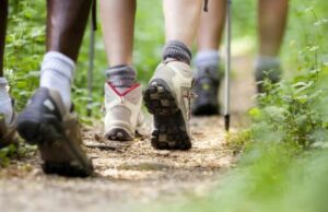Torna la “Giornata dei sentieri Liguri” Camminare nella natura
