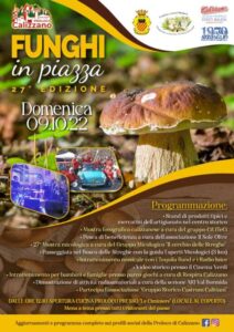 Funghi in piazza-Locandina
