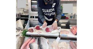 Controlli della Capitaneria di Savona sulla filiera della pesca