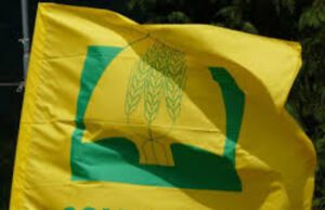 Coldiretti Piano strategico PAC 2023/2027 Coldiretti Piano strategico PAC 2023:2027