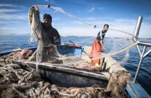 Coldiretti, costi raddoppiati ma arriva il piano pesca, a causa di guerra e caro energia, ma c’è uno spiraglio