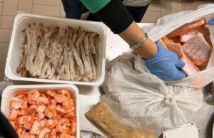 Guardia Costiera e Asl 5 chiudono noto ristorante alla Palmaria Guardia Costiera e Asl 5 chiudono noto ristorante alla Palmaria