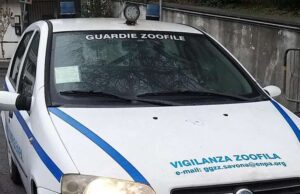 Un amico non si regala, si sceglie: la campagna delle guardie zoofile Un amico non si regala, si sceglie, la campagna delle guardie zoofile savonesi