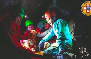 La cagnolina Laika finisce in una profonda tana: salvata La cagnolina Laika finisce in una profonda tana: salvata