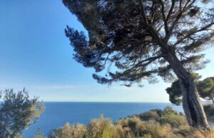 Prorogata la campagna di crowdfunding per il Parco del Ciapà