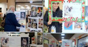 Premiazione di "Musin Musetto" e "Addobbi di Natale"
