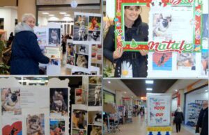 Premiazione di Musin Musetto e Addobbi di Natale Premiazione di "Musin Musetto" e "Addobbi di Natale"