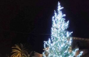 Ceriale accende il Natale con l’albero in piazza e le luminarie ceriale