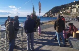 L’albero di Utrimare sulla passeggiata Roberto Bruzzone L’albero di Utrimare sulla passeggiata Roberto Bruzzone