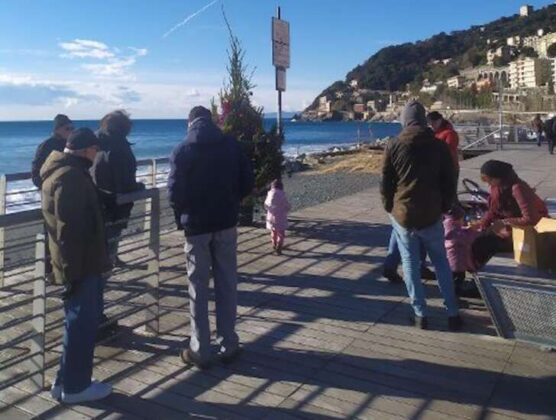 L’albero di Utrimare sulla passeggiata Roberto Bruzzone
