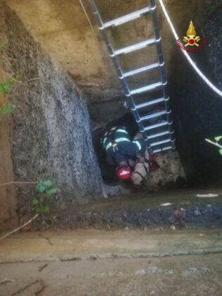 I vigili del fuoco salvano due cani finiti in uno scolmatore