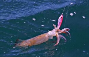 A Varazze torna A’ Totanassa A' Totanassa-Varazze