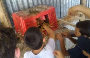 Domenica 29 Gennaio a Sanremo parte un corso Domenica 29 Gennaio a Sanremo parte un corso per scoprire i benefici della coltivazione biologica biodinamica