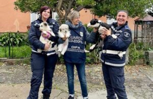 Spezia, salvati tre cuccioli relegati, denunciati i detentori Spezia, salvati tre cuccioli relegati, denunciati i detentori, l’Oipa invita a non ignorare casi di degrado e maltrattamento