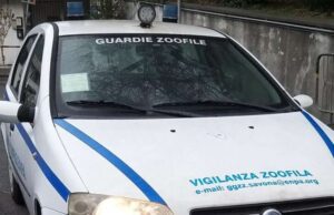 Anno di cambiamenti per le Guardie Zoofile Volontarie savonesi Anno di cambiamenti per le Guardie Zoofile Volontarie savonesi