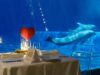14 febbraio: un San Valentino speciale nella magica atmosfera dell’Acquario, inoltre un a serie di appuntamenti per conoscere la vita marina
