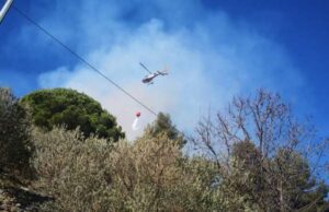 Brutto incendio sulla collina di Alassio Brutto incendio sulla collina di Alassio in località Madonna della Guardia generato da un falò di sterpaglie sfuggito al controllo