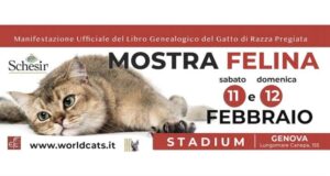 Il mondo dei gatti arriva a Genova all’RDS Stadium