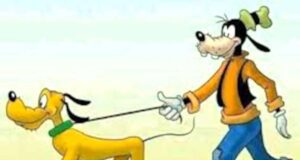 Il Nano Morgante | A spasso con il cane tassato
