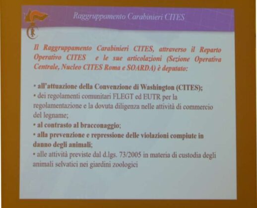 Il convegno su rapaci e la loro tutela di SOS Animali Selvatici