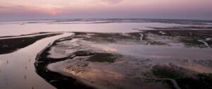 Amate sponde-Laguna di Venezia