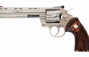 Finisce in ospedale per un Tso: trovato con una 357 magnum