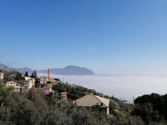 La caligo torna a Genova da Quarto a Punta Chiappa