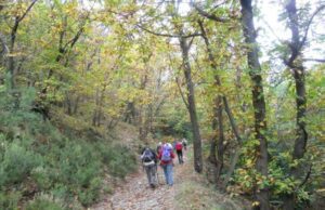 Escursione a San Martino da Verzi Loano Non Solo Mare
