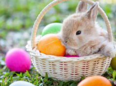 Pasqua
