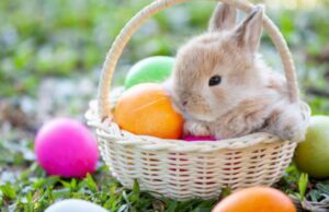 Torna il Festival di Pasqua a Cervo Pasqua