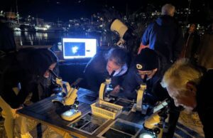 Successo per Un mare di stelle Un mare di stelle-La Spezia