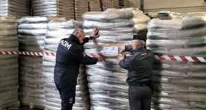 GdF e Dogane sequestrano in porto 382 tonnellate di pellet
